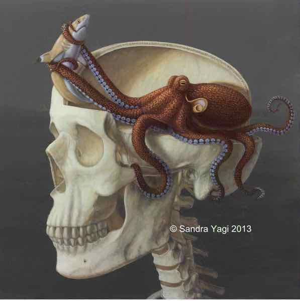 Octoskull, oil on panel, 24 x 24, 2013. SOLD
