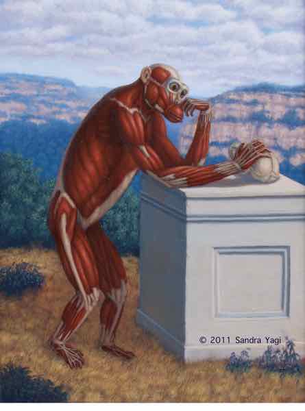 Anatomical Chimp with Skull - oil on panel 2011