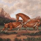 predator & prey.jpg