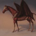 pegasus2jpeg.jpg