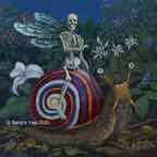 Snail_Rider_12x12 re cr  lr-glazed-intensity-10-V1