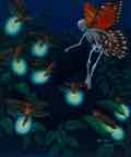 Fireflies re copy