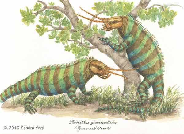 Iguana Stickbug, watercolor and ink on paper, 2016, 11 5/8 x 16