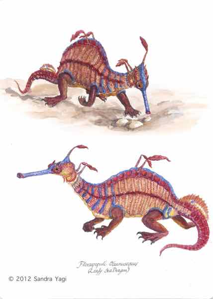 Leafy Seadragon, Leafy Seadragon, watercolor and ink on paper,  2012, 16x11 5/8