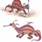Seadragon_Final_6_inch cr