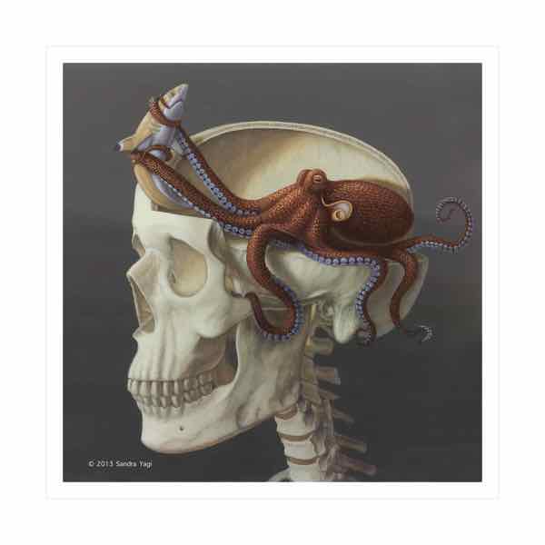 Octokull, archival inkjet print, Edition:  25, image:  16x16 - sheet 17x17		