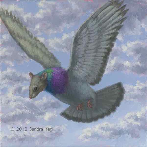 Pigeonrat, Archival inkjet print, Edition: 30, 6x6 image, 6.5x6.75 sheet	