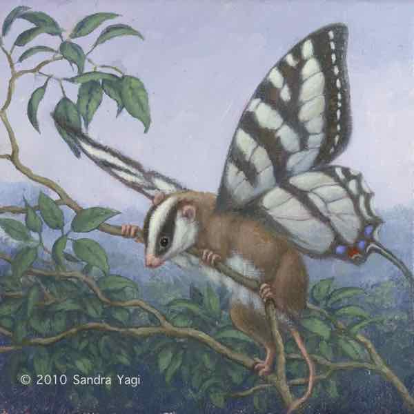 Feathertail Possum, Archival inkjet print, Edition: 30, 6x6 image, 6.5x6.75 sheet	