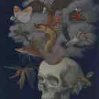 trepanation print cr