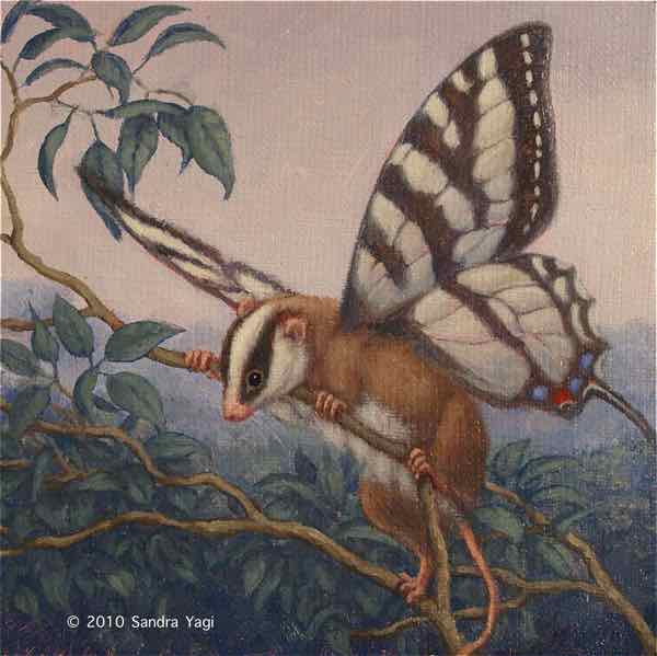 Feathertail possum, oil on canvas, 6x6, 2010 SOLD