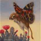 flying kangaroorat cr