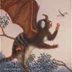 marmoset2 cr