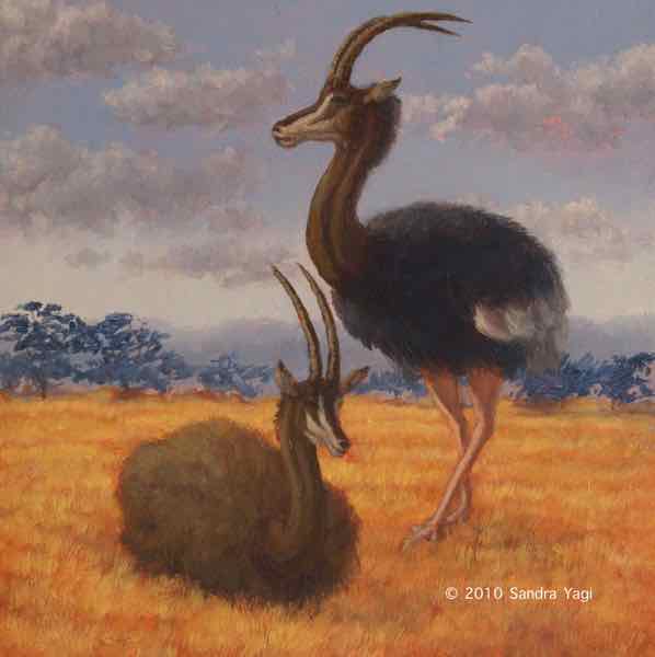 Ostrich Racer 2, oil on panel, 6x6, 2010